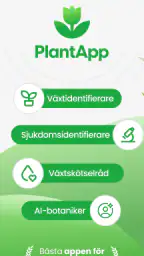 PlantApp – Identifiera växter screenshot