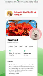 PlantApp – Identifiera växter screenshot