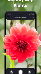 PlantIn: Plant Identification screenshot
