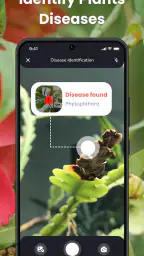 PlantIn: Plant Identification screenshot