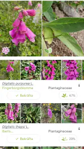 PlantNet Växtidentifiering screenshot