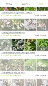 PlantNet Växtidentifiering screenshot