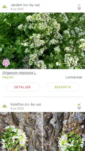 PlantNet Växtidentifiering screenshot