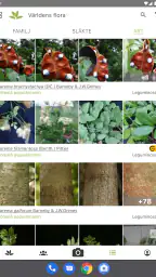 PlantNet Växtidentifiering screenshot