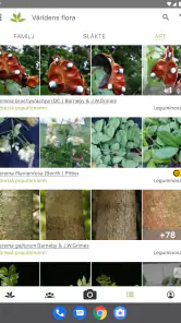 PlantNet Växtidentifiering screenshot