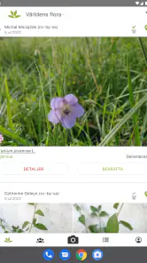PlantNet Växtidentifiering screenshot