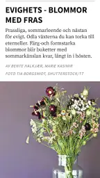 Pling – digital tidningsapp screenshot