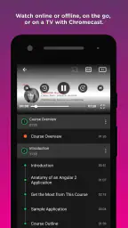 Pluralsight screenshot