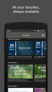 Qigong for Vitality screenshot