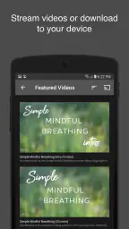 Qigong for Vitality screenshot
