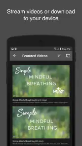 Qigong for Vitality screenshot