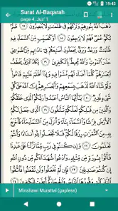 Quran Tajweed قرآن تجويد screenshot