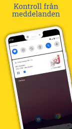 Radio Sverige FM: Online Radio screenshot