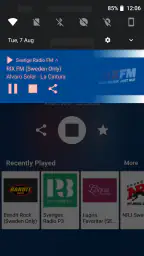 Radio Sverige: Radio Online FM screenshot