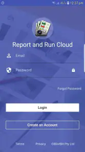 Report & Run: Integrate screenshot