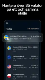 Revolut Business screenshot