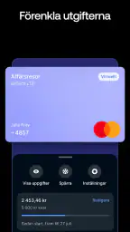 Revolut Business screenshot