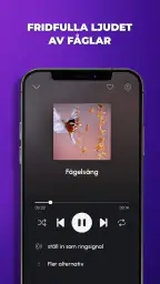 Ringsignaler Musik för Android screenshot