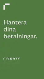 Riverty screenshot