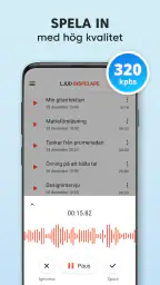 Röstinspelare - Ljudinspelning screenshot