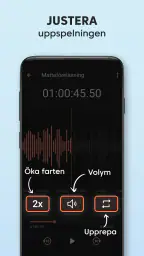 Röstinspelare - Ljudinspelning screenshot