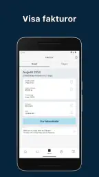 SAS EuroBonus World Mastercard screenshot