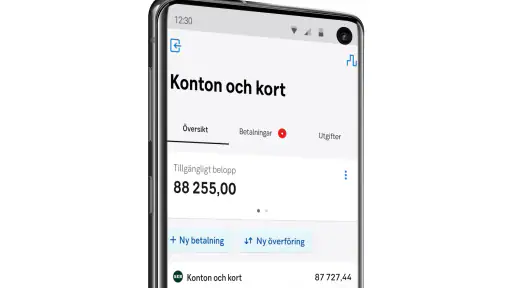 SEB screenshot