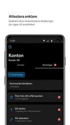 SEB Företag screenshot