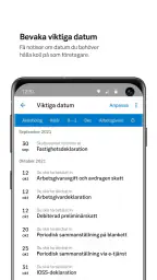 SEB Företag screenshot