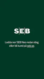 SEB Neo screenshot
