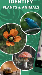 Seek av iNaturalist screenshot