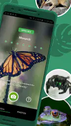 Seek av iNaturalist screenshot