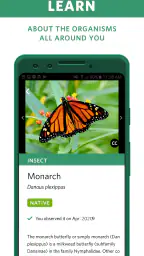 Seek av iNaturalist screenshot