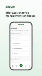 Skovik screenshot