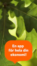 Sparbanken privat screenshot