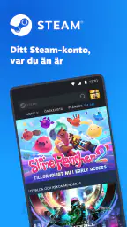 Steam screenshot