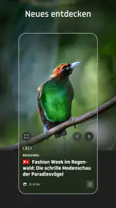 stern online: Nachrichten App screenshot