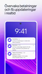 Stripe Dashboard screenshot