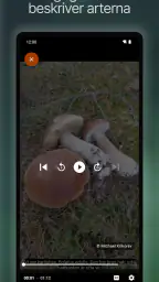 Svampguiden+ screenshot