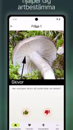 Svampguiden+ screenshot