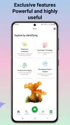 Svampidentifierare screenshot
