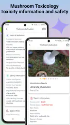 Svampidentifierare screenshot