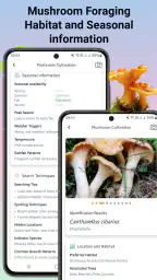 Svampidentifierare screenshot