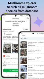 Svampidentifierare screenshot