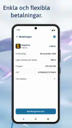 Svea Pay screenshot