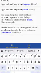 Svensk ordbok screenshot