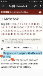 Svenska Bibeln screenshot