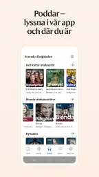 Svenska Dagbladet screenshot