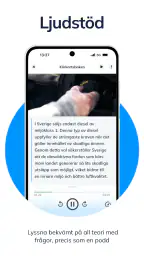 Teoricentralen: Körkort screenshot