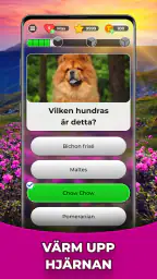 Triviascapes: trivia & IQ-test screenshot